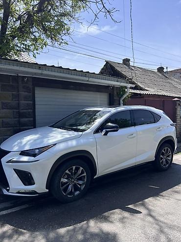 lexus: Lexus NX: 2020 г., 2 л, Автомат, Бензин, Кроссовер — 1