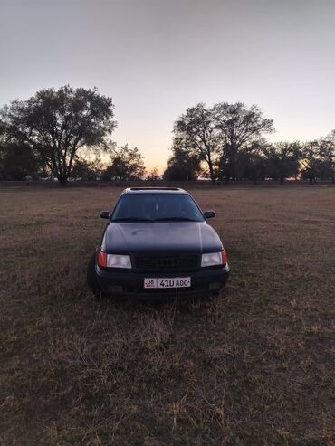 сиденья сетра: Audi 100: 1995 г., 2.6 л, Механика, Газ, Седан
