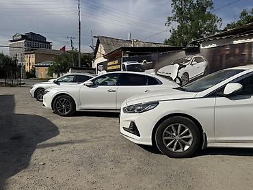 Kia: Kia Soul: 2019 г., Кроссовер — 11