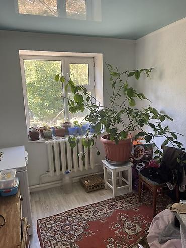 Продажа коттеджей и домов: 4 комнаты, 100 м², 100 соток, Талас, Собственник — 28