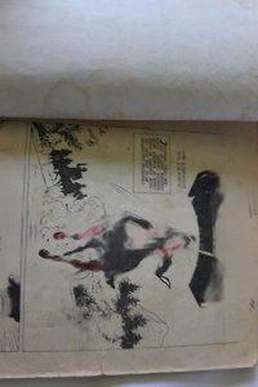 Knjige: LUNOV MAGNUS STRIP 547, LMS 547, BLEK STENA, PRLJAVA IGRA | Lunov — 14