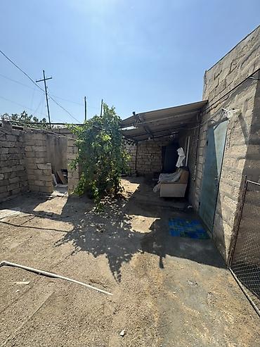mərdəkan ev: Həyətyanı sahəsi olan kiçik həyət evi - Daş hasarlı bağ sahəsi — 1