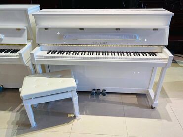 Pianolar: Piano akustik Ritmuller Pearl River Royal musiqi alətleri salonu — 2
