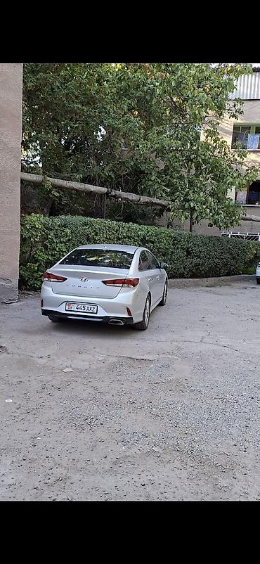 бампер кабан: Hyundai Sonata: 2017 г., 2.4 л, Автомат, Бензин, Седан — 5