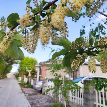 Иссык-Куль 2025: Коттедж, 35/3, 4-комнатный ЦО Радуга West, Кош-Кол, Детская площадка, Парковка, стоянка, Охраняемая территория — 20