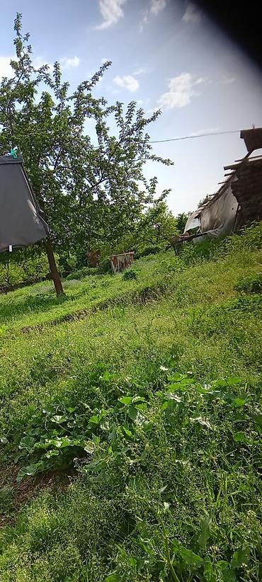 qubada torpaq satilir 2026: 85 sot, Kənd təsərrüfatı, Mülkiyyətçi, Kupça (Çıxarış) — 6