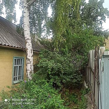 Продажа дачи: 5 комнат, 100 м², 10 соток, Холодная вода, Электричество at lalafo.kg — 13 Продажа дачи: 5 комнат, 100 м², 10 соток, Холодная вода, Электричество — 13