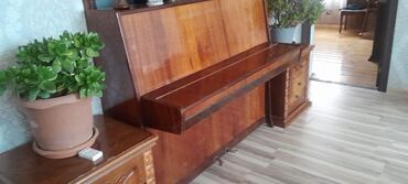 yamaha royal piano: Piano Fantaziya ideal veziyyetde