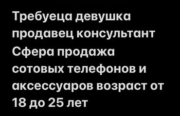 работа в торговом центре: Требуется Продавец-консультант в Магазин электроники, График: Шестидневка, Карьерный рост, Полный рабочий день
