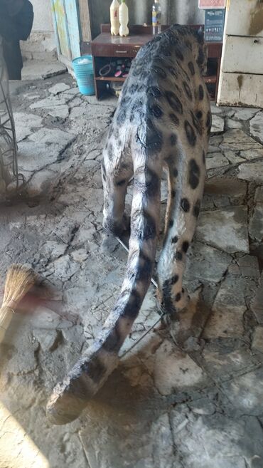 Вазы: На заказ любые скульптуры статуэтки дерево искусственное. вазоны для — 4