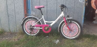 313 oglasa | lalafo.rs: Bicikli