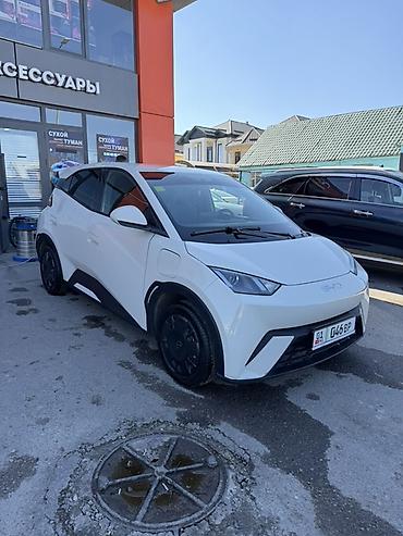 BYD: BYD Seagull: 2025 г., 0.1 л, Робот, Электромобиль, Хэтчбэк — 2