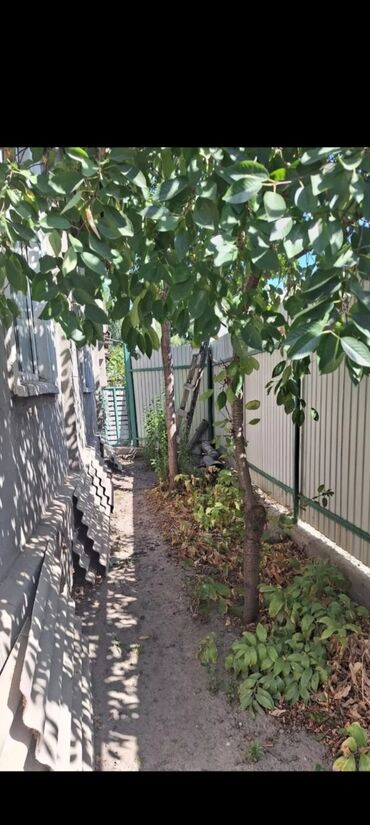 аренда помещения на ошском рынке: 61 м², 3 комнаты, Парковка, Забор, огорожен