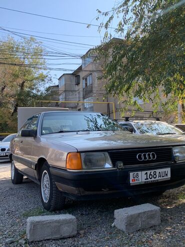 хового донголок: Audi 100: 1988 г., 2.3 л, Механика, Бензин, Седан