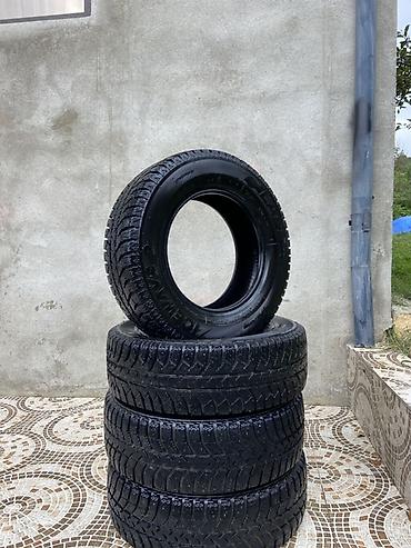 turistik qosqu satisi: Yeni Şin Lassa 175 / 70 / R 13 — 2