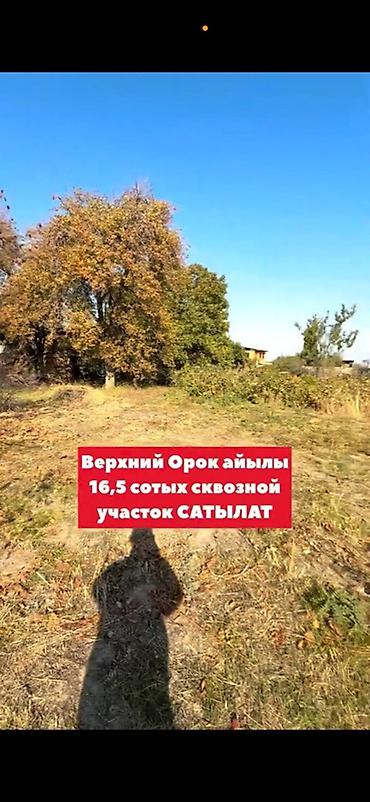 срочна продам: 16 соток — 8