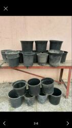 Bitkilər üçün dibçəklər: Gül və dibçək qabları satılır.Plastik,kauçuk materyaldır.Sayı 50 -da lalafo.az — 2 Bitkilər üçün dibçəklər: Gül və dibçək qabları satılır.Plastik,kauçuk materyaldır.Sayı 50 — 2