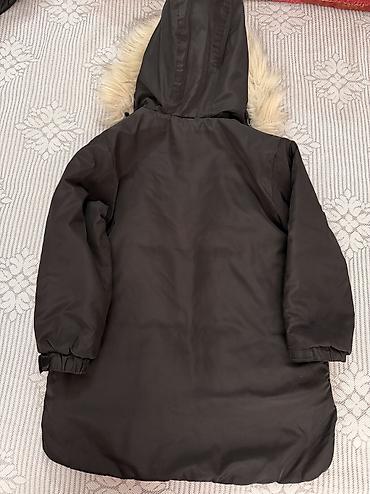 куртка zara: Куртка, Для девочек, 8 - 9 лет, Zara Kids — 2