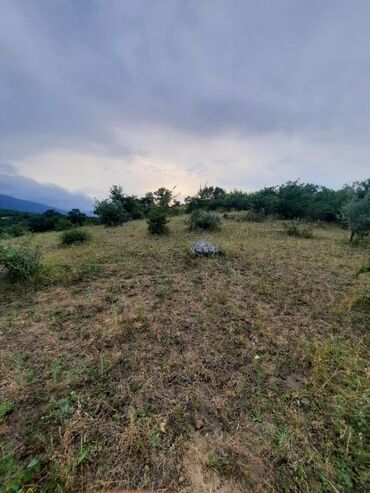 Torpaq sahələrinin satışı: 33 sot, Tikinti, Barter mümkündür, Kupça (Çıxarış) -da lalafo.az — 10 Torpaq sahələrinin satışı: 33 sot, Tikinti, Barter mümkündür, Kupça (Çıxarış) — 10