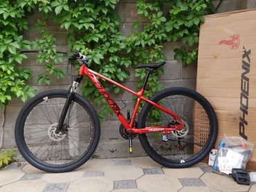 Спорт и хобби: Велосипед phoenix размер диаметр колеса 29 дюмов скорость 24 реплика