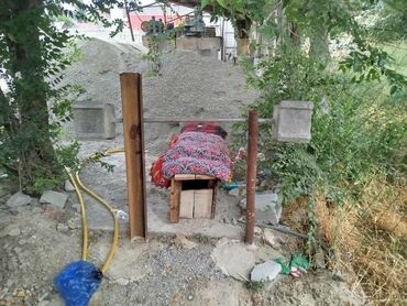 купить тренажер для ягодиц и бедер: Штангалар жана грифтер