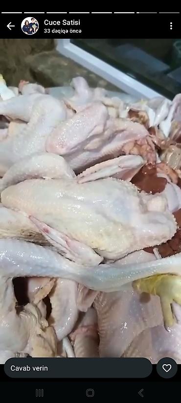 döş əti: Kənd toyuğu Toyuq Pərakəndə, Ödənişli çatdırılma — 3