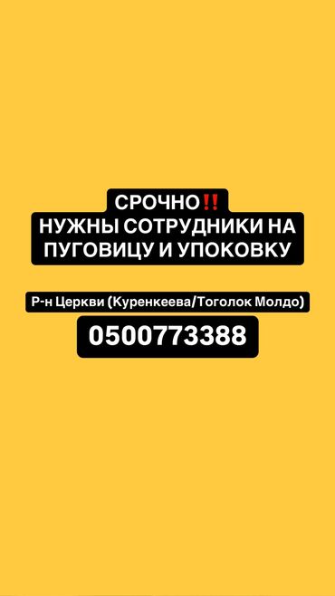 работа с: Таңгактагыч