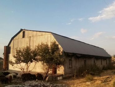 производство мыло: Продаю коммерческое помещение находящееся в Маевке (хорошая