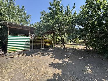 Продажа дачи: Продам дачу, собственник Сад плодородный Яблони, груши, королевский — 9