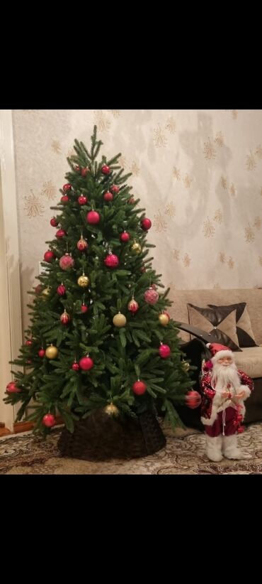 Süni güllər: Yolkanin hundurluyu 1.80 di Tezedi 1 ce defe qurulub 180man