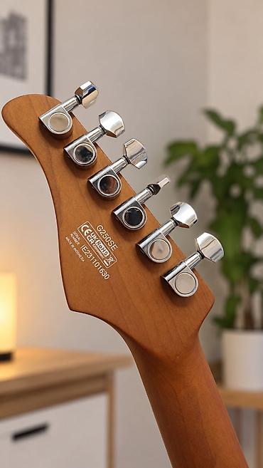 gitara ucun pedal: Cort G250 SE elektrik gitara + çanta və mini amplyayzer - Model: Cort — 3