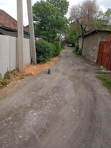 горам: Продается пол дома, 4 комнаты, участок 4 сотки. так же на участке — 2
