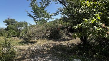 Torpaq sahələrinin satışı: 10 sot, Tikinti, Kupça (Çıxarış) — 9