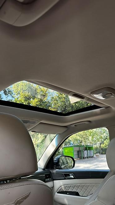 Ssangyong: Ssangyong Rexton: 2019 г., Внедорожник — 18