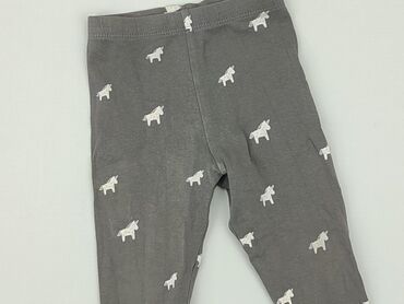 spodnie w kratke zara: Leggings, 9-12 months, condition - Good