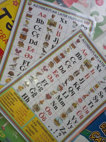 Digər məktəb dərslikləri: Müxtəlif siniflər üçün nəzərdə tutulmuş tədris vəsaitləri və test — 11