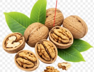 аккаунты пубг мобайл бесплатно фейсбук: Жангак сатып алабыз жакшы баада Куплю орехи грецкие по хорошей цене at lalafo.kg аккаунты пубг мобайл бесплатно фейсбук: Жангак сатып алабыз жакшы баада Куплю орехи грецкие по хорошей цене