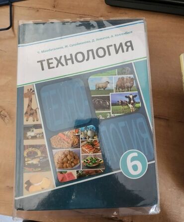 готовые домашние задания по кыргызскому языку 5 класс жусупбекова: Технологии, Человек и общество. 
Одна книга 250 сом