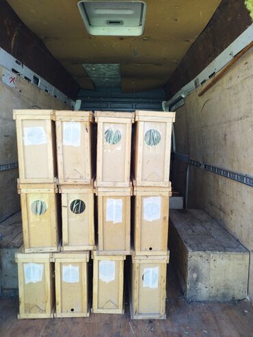 металический ящик: Продаю тары для транспортировки пчёл. Пчелопакеты система дадан по