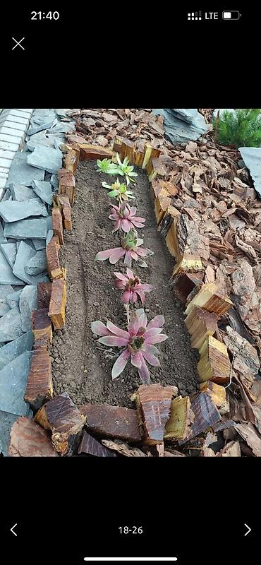 Дворники, садовники: 🌱Я садовник приходящий раз в неделю уборку сада генеральный уборка at lalafo.kg — 15 Дворники, садовники: 🌱Я садовник приходящий раз в неделю уборку сада генеральный уборка — 15