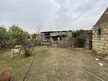 ev və bag: 5 otaqlı, 300 kv. m, Kredit yoxdur, Təmirsiz — 9