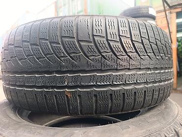 Шиналар 215 / 55 / R 16, Кыш, Колдонулган, 1 даана, Жеңил унаалар, Nokian lalafo.kg да Шиналар 215 / 55 / R 16, Кыш, Колдонулган, 1 даана, Жеңил унаалар, Nokian