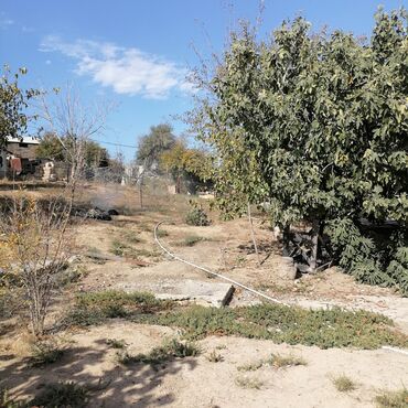 Həyət evləri və villaların satışı: 7 otaqlı, 450 kv. m, Orta təmir -da lalafo.az — 4 Həyət evləri və villaların satışı: 7 otaqlı, 450 kv. m, Orta təmir — 4