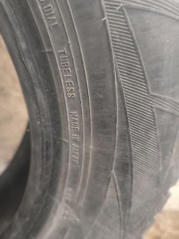 Комплект зимних шин безкамерных (tubeless), радиальных. Производство