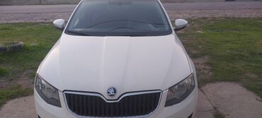 чехлы на фотоаппараты: Комплект передних фар Skoda Б/у, Оригинал