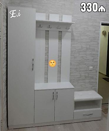 Ev üçün mebel: Dehliz dolabı — 1