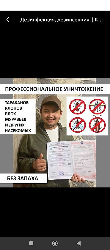 Дезинфекция, дезинсекция: Дезинфекция, дезинсекция, | Вирусы, микробы, Мыши и крысы, Блохи, | Офисы, Транспорт, Подвал, погреб — 5