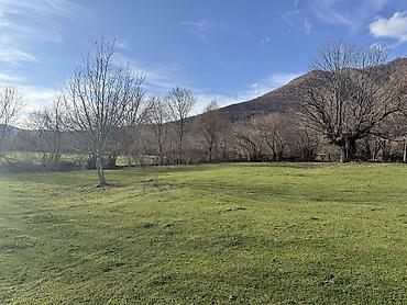 Torpaq sahələrinin satışı: 35 sot, Mülkiyyətçi — 11