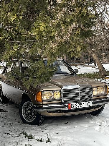Mercedes-Benz: Mercedes-Benz W123: 1981 г., 2.8 л, Механика, Седан — 2