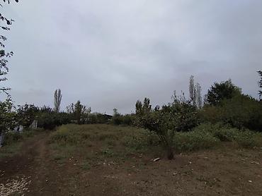 goycayda torpaq satilir: Kənd təsərrüfatı, Mülkiyyətçi, Kupça (Çıxarış) — 10